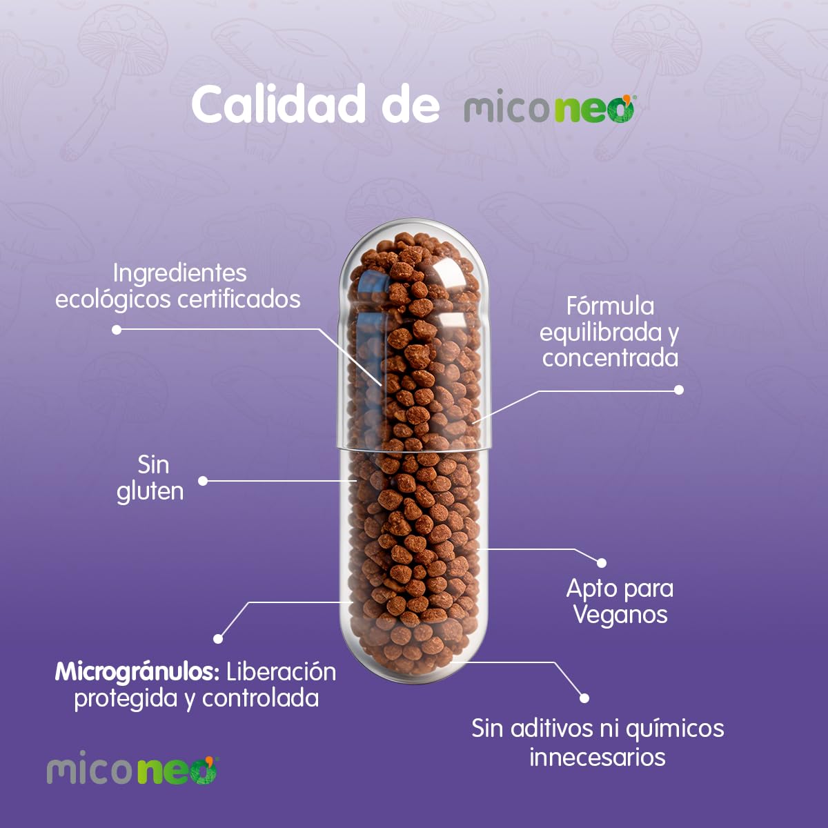 Mico NEO | HT | Hongos de Agricultura Ecológica | Apto Para Vegetarianos | Sin Gluten ni Derivados Lácteos | 60 Cápsulas | Tomar 1 o 2 Cápsulas al Día