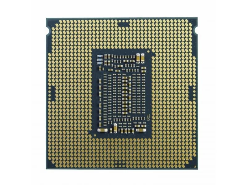 Intel第10世代CPU Pentium Gold G6405 LGA1200 Amazon.in: Buy Pentium 10th gen Processor G6405 4.10 GHz LGA 1200
