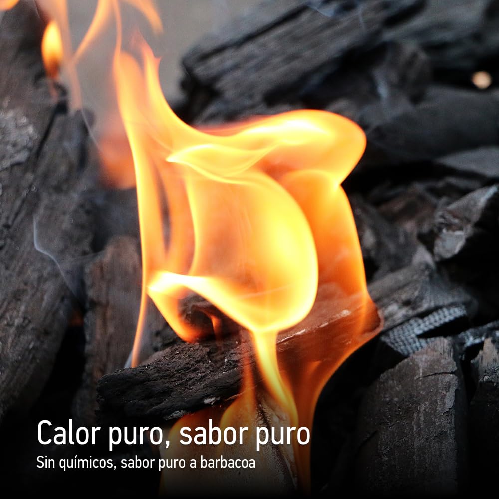 Encendedor de carbón eléctrico TEXAS CLUB para carbón de barbacoa, parrilla y chimenea, encendedor de carbón para barbacoa al aire libre, encendedor de barbacoa