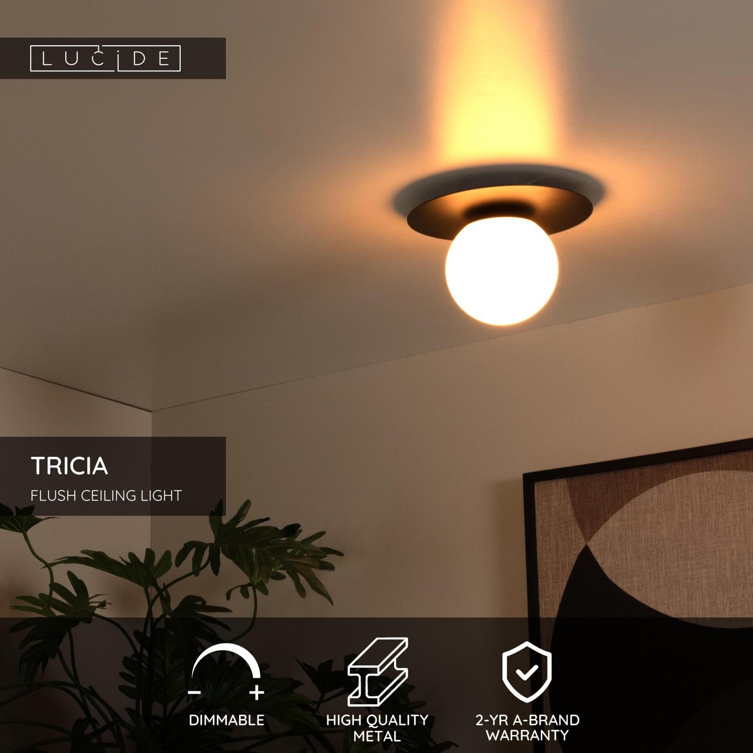 LUCIDE TRICIA - Plafonnier - Ø 25 cm - 1xE27 - Noir