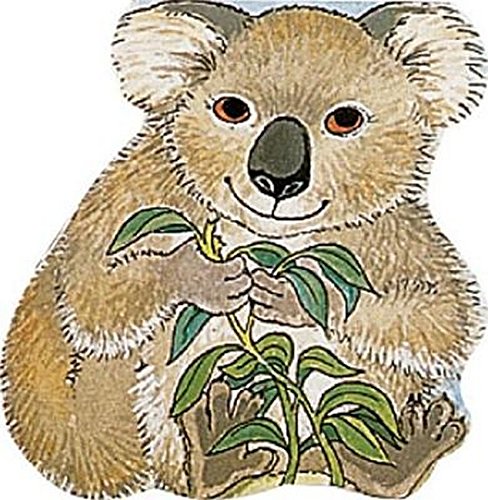 Child's Play (International) Ltd Pocket Koala