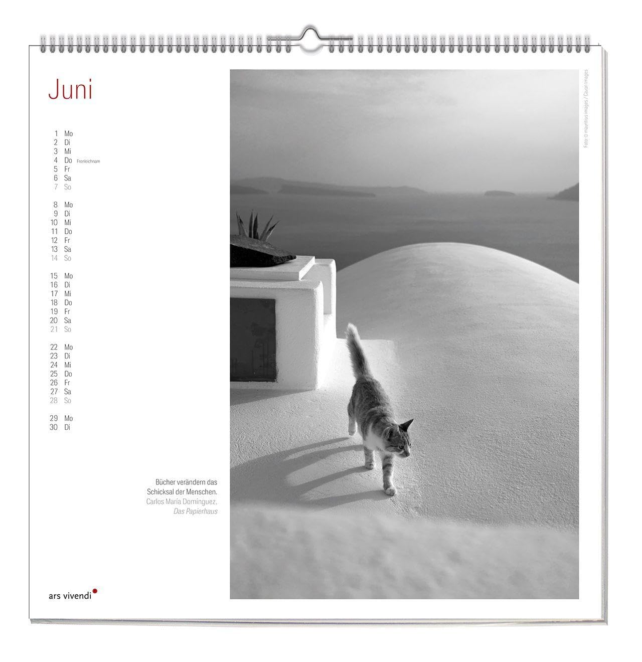 Der große literarische KATZEN Kalender 2027 – Wandkalender mit Katzenfotos & gefühlvollen Texten – Inspirierendes Geschenk für Katzenliebhaber & Tierfreunde