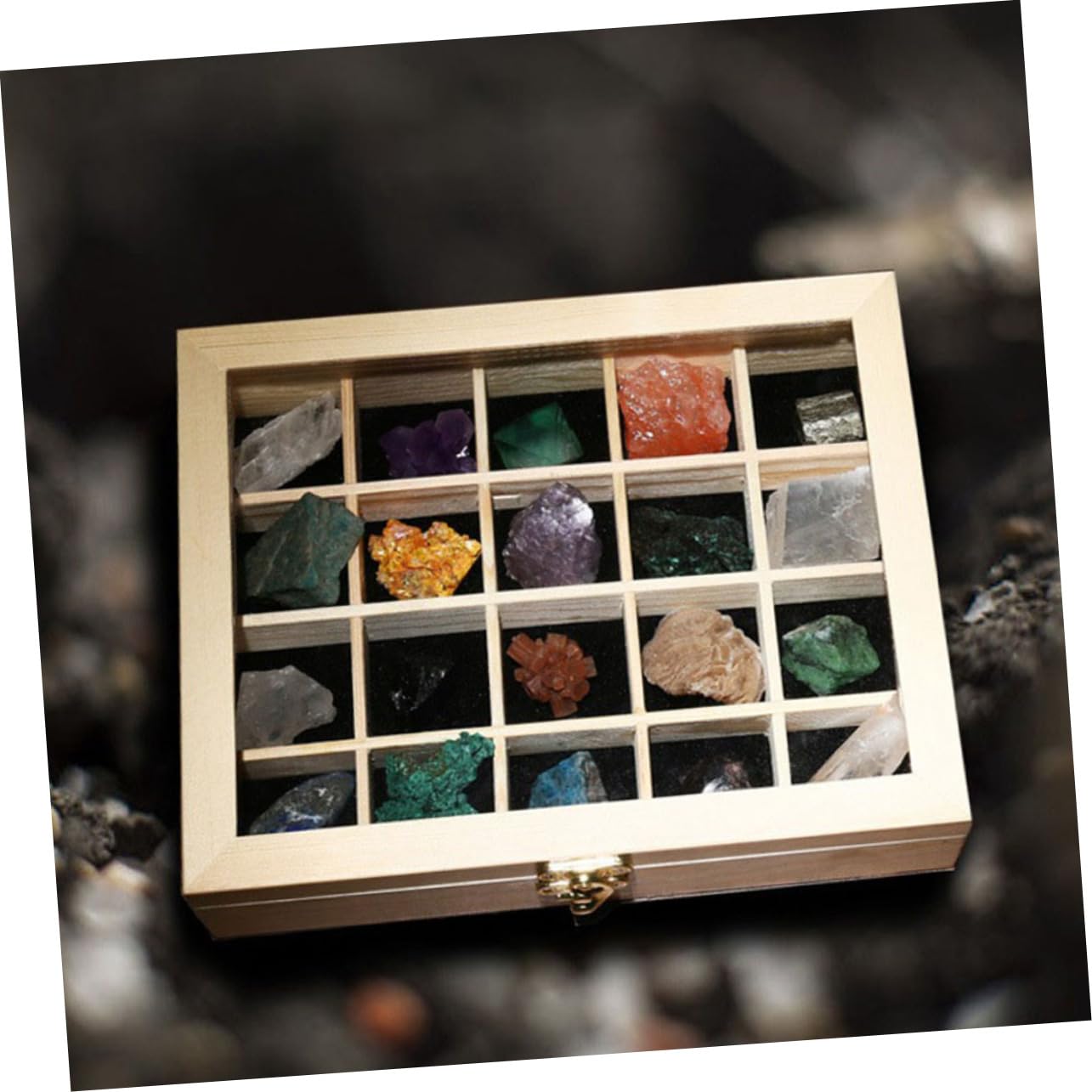 20 Stück Teiliges Mineralien Probenbox Natürliche Steinsamples für Lehrzwecke Sammlung für Enthusiasten Holzkiste für Aufbewahrung