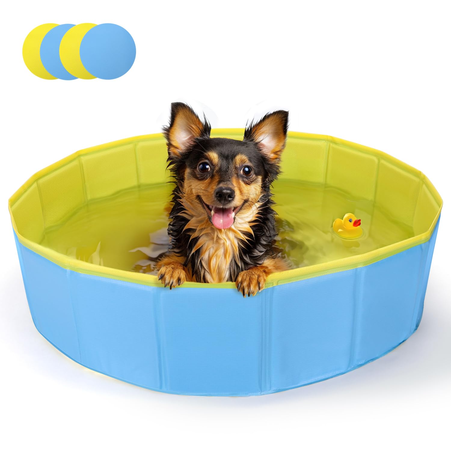 Nobleza Piscina per Cani Grandi e Piccoli, Piscina Pieghevole, Vasca da Bagno Rigida per Cani e Gatti, 80 * 20cm, S, Blu & Giallo