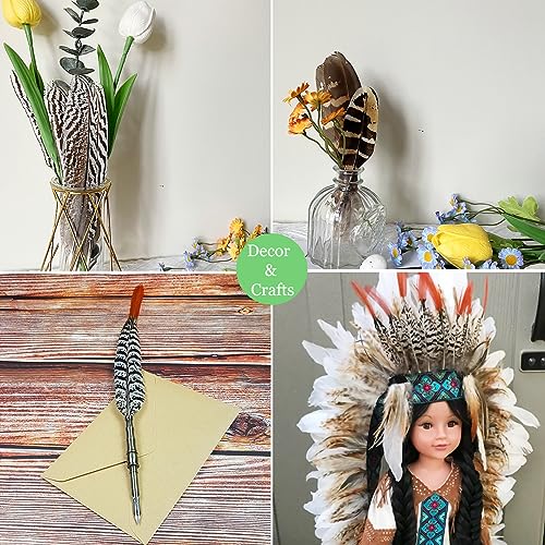 20pcs Natural Spotted Feathers Pheasant Feathers for Craft Clothing Jewelry Accessories Decoration (Red Tip Lady Amherst Pheasant Tails Feather 4-6\")