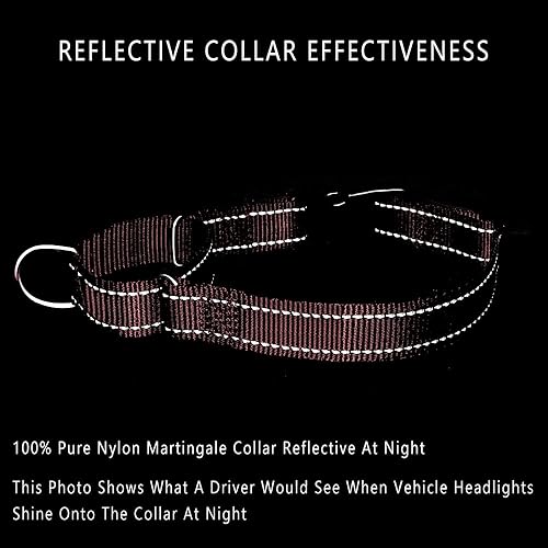 Miniatura 4 de Plutus Pet Collar Martingala reflectante con hebilla, collar de entrenamiento duradero y ajustable para perros pequeños, medianos y grandes, rosa, M