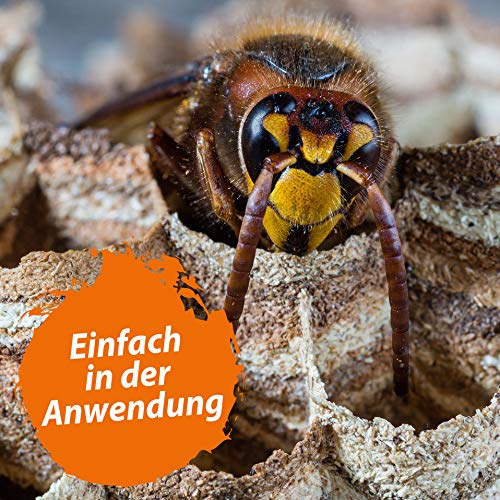 Ida Plus Wespenschaum 300ml – Effektiver Antiwespen Schaum