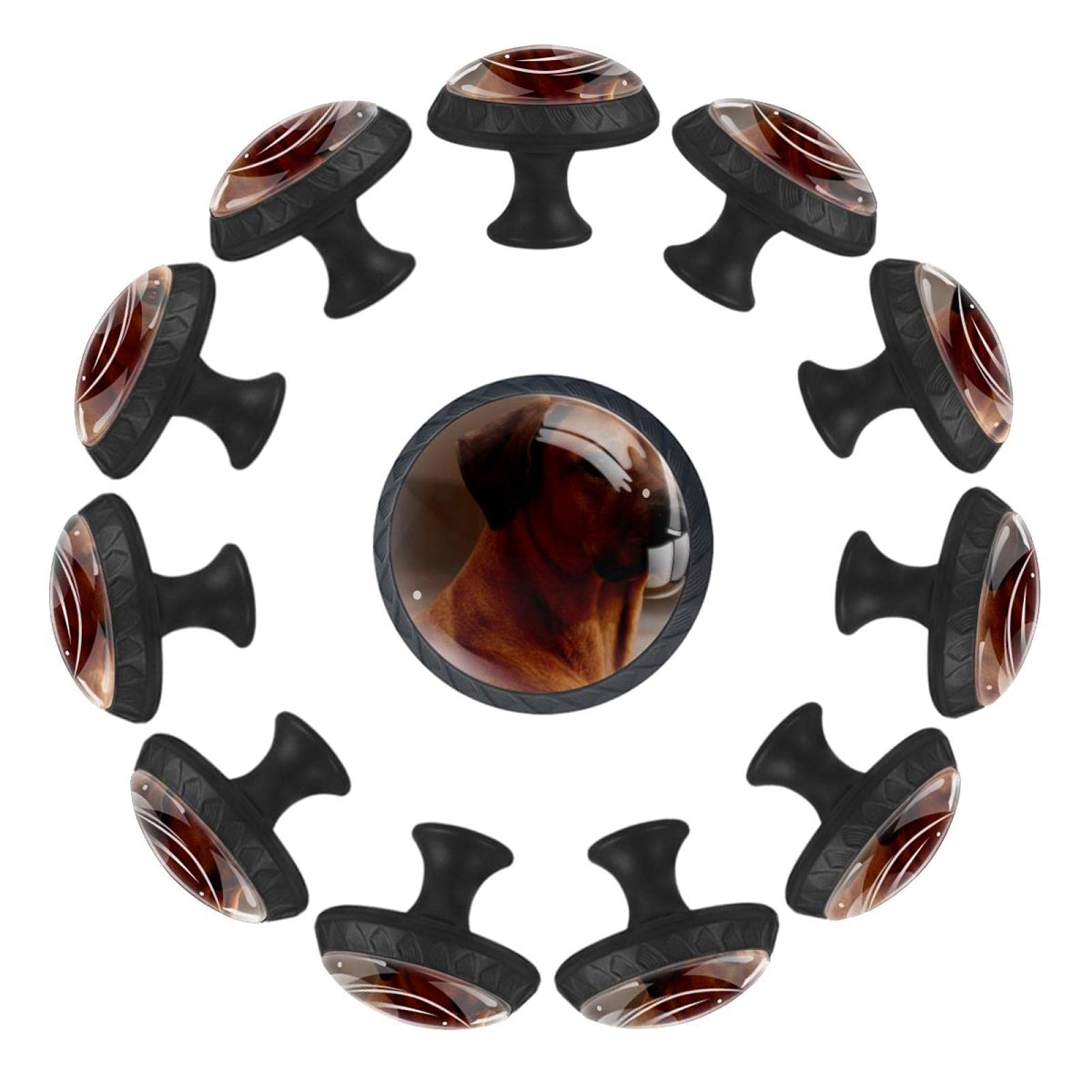 Boutons de tiroir Rhodesian Ridgeback pour remplacer facilement les poignées de commode