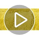 Faux Fur Fluffy Yellow Comforter Cover Twin Set – Plush Faux Fur Yellow Bedding 2-Piece Set (1 Furry Duvet Cover + 1 Shaggy Pillow Sham) Cozy Bed Set