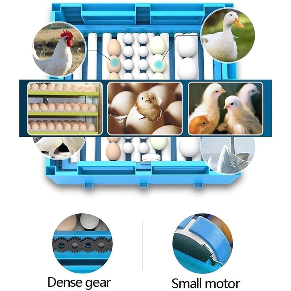 Incubatrici per uova da cova 192 uova Scatola digitale per uso domestico Letto ad acqua con rotazione completamente automatica e controllo dell'umidità per pollo Uccello Quaglia Anatra Oca