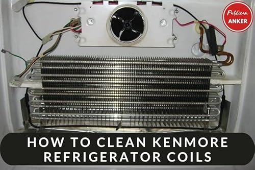How To Clean Kenmore Refrigerator Coils Top Full Guide 2023