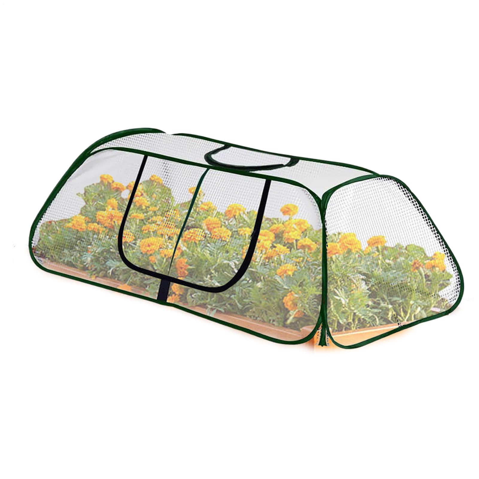 Serre d'extérieur avec porte pour protéger les jeunes plantes et fleurs du gel