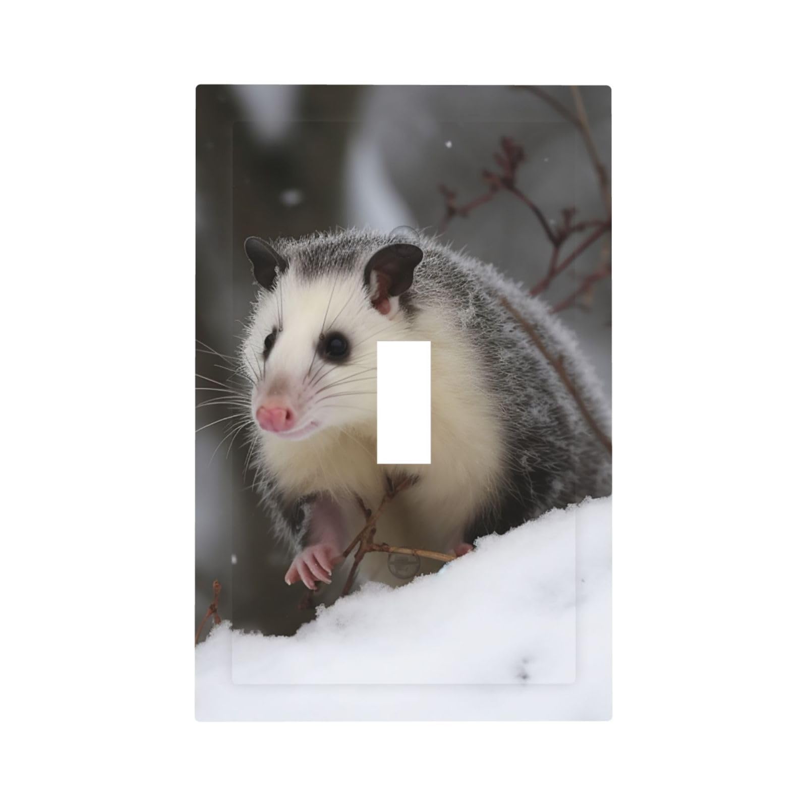 1-Gang Decorator Wall Plate Opossum In Snow Light Switch Cover Single Gang Receptacle Outlet Wall Plate Mid Size 5" x 3" Wallplate Unbreakable Polycarbonate Outlet Faceplates Covers