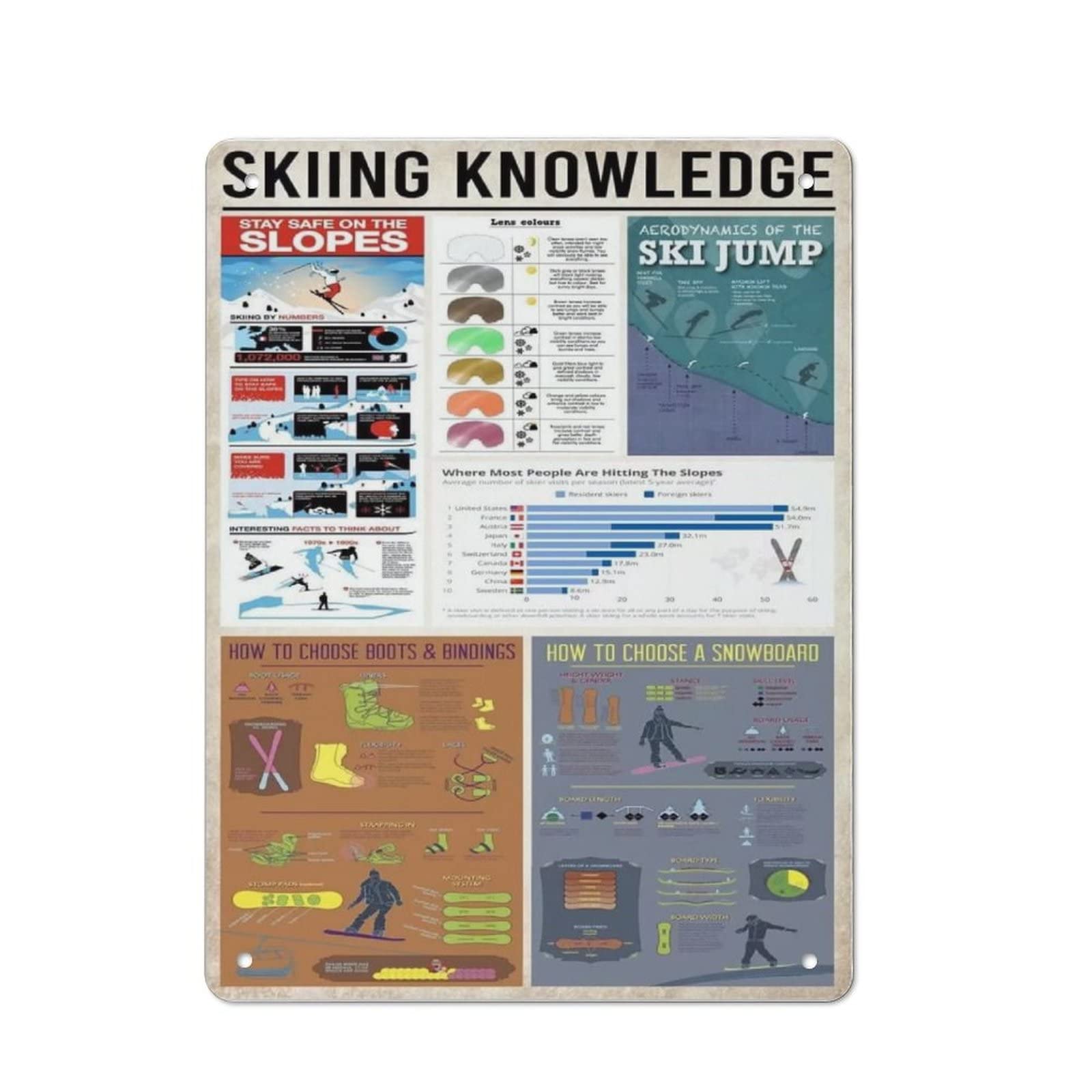 AOOEDM Skiing Knowledge Metal Tin Sign for Home Bar Pub Kitchen Wall Art Deocr Man Cave Vintage Metal Sign Poster Plaque Signs Quotes Sign