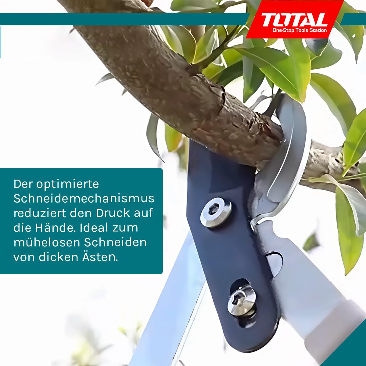 TOTAL - Teleskop-Gartenschere, gebogen, 40 x 32,5 x 12 cm, blau, Länge 670-880 mm, Gartenschere mit gebogenem Kopf für mehr Schnittkapazität