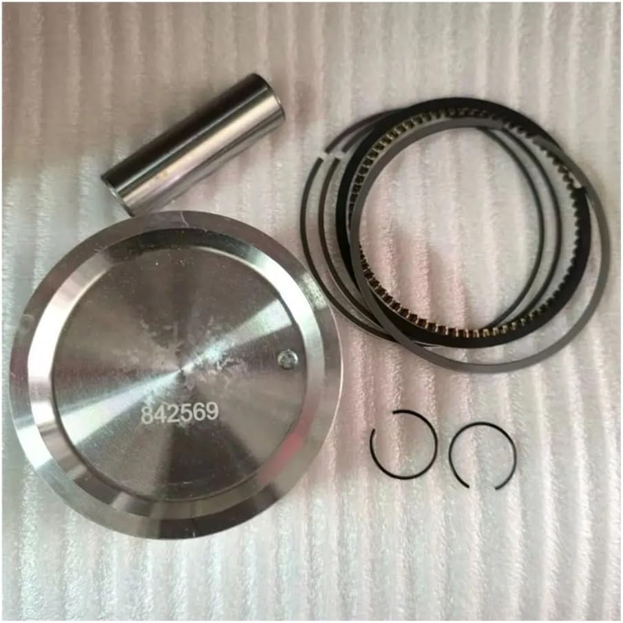 PISTON ASSY Fit For 385446 385447 385777 386447 386777 389447 ENGINE 843805 842569