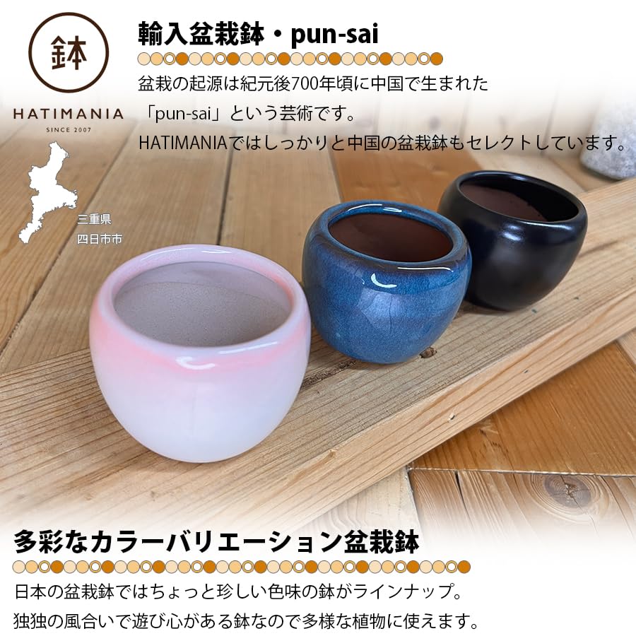 Amazon.co.jp: HATIMANIA 鉢マニア 丸 2号 盆栽鉢 水が抜けやすい