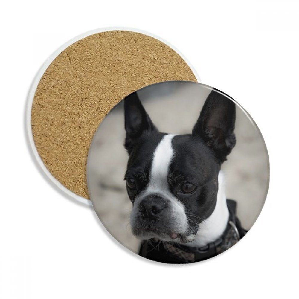 Dessous de verre en céramique absorbant motif bulldog pour tasse mug