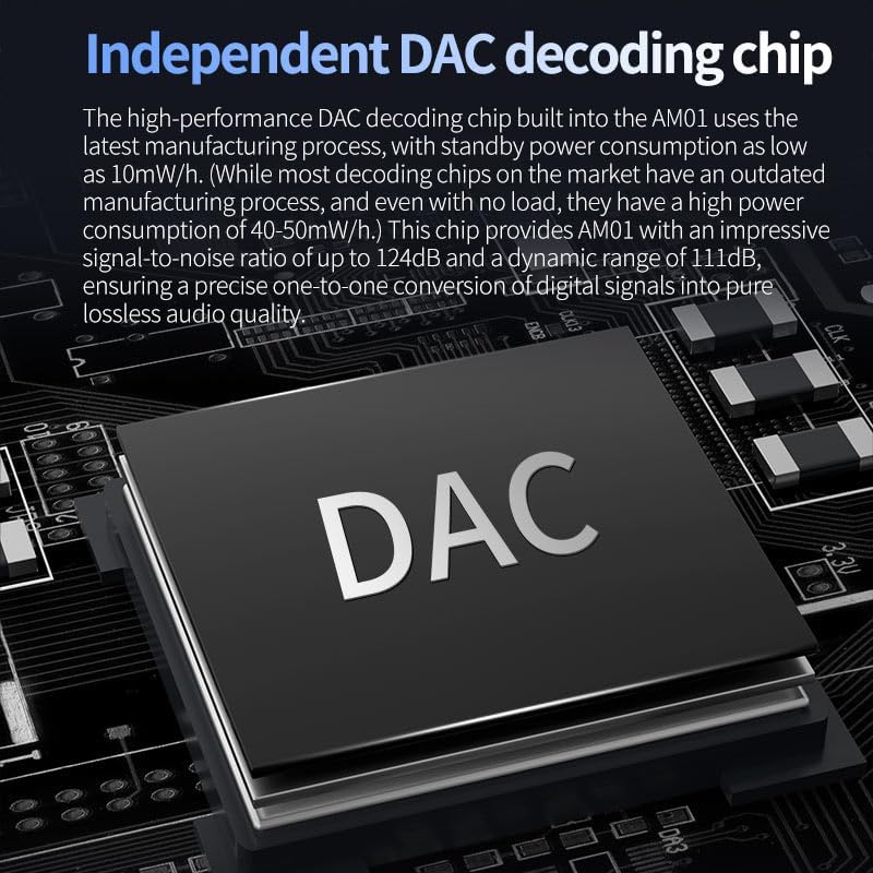 Close-up of the independent DAC decoding chip