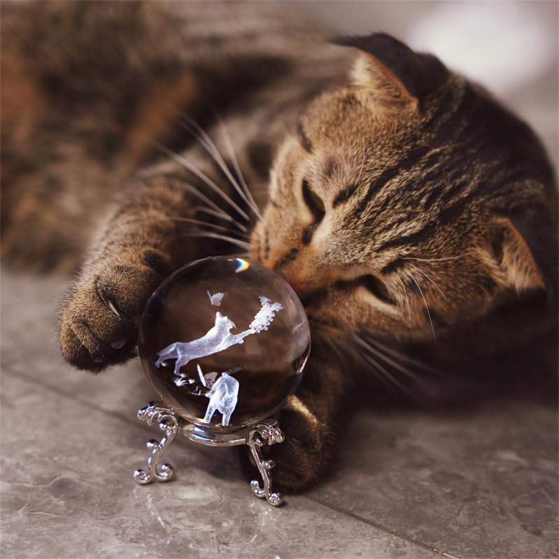 Miniatura 8 de ZEERSHEE Bola de Cristal de 60mm con Soporte - Esfera de Gato 3D de Vidrio Grabada con Láser y Peso de Papel - Regalos para Amantes de los Gatos