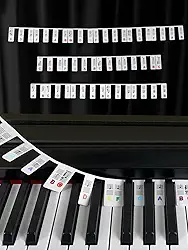 Etiquetas de notas de teclado de piano, guia de adesivos de teclado de piano de silicone para iniciantes, tamanho completo de 88 teclas, sem necessidade de adesivos, reutilizáveis (coloridos)