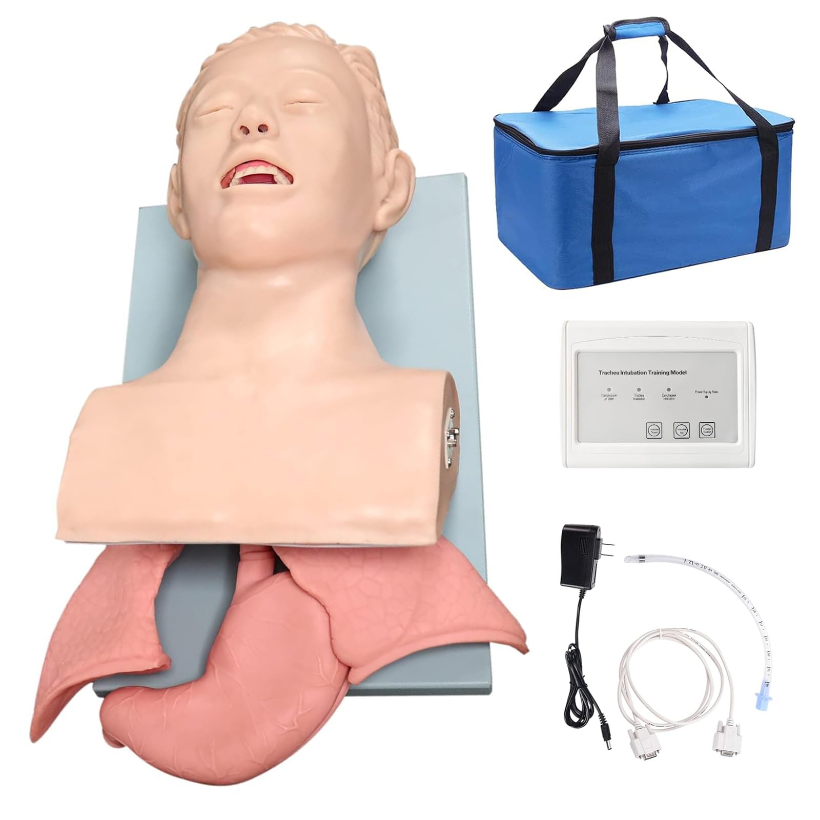 Maniquí de Intubación, Maniquí de Intubación Oral-Nasal para Adultos Modelo Didáctico con Alarma Electrónica, para la Práctica de Estudios de Educación Científica