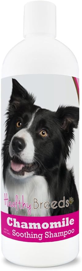border collie flea and tick control