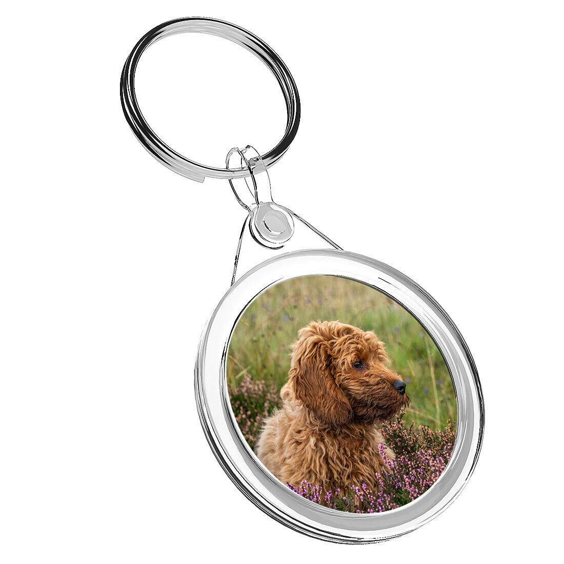 Destination Vinyl Keyrings Unisex Multi 1 X Young Red Fluffy Cockapoo Puppy - Keyring Ir02 Mum Dad Birthday #2703