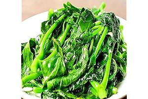 MySeeds Chinese Broccoli, Kailan GAI LAN Seeds (1,500 count)