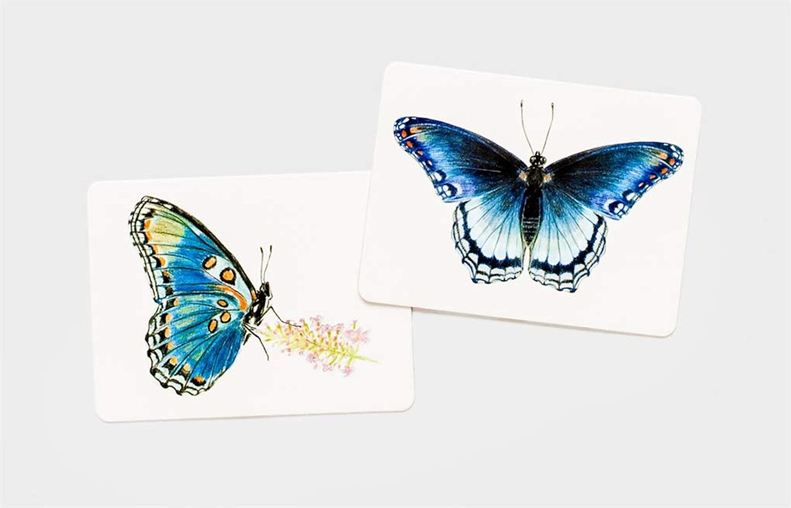 Butterfly Wings: A Matching Game - Image 12