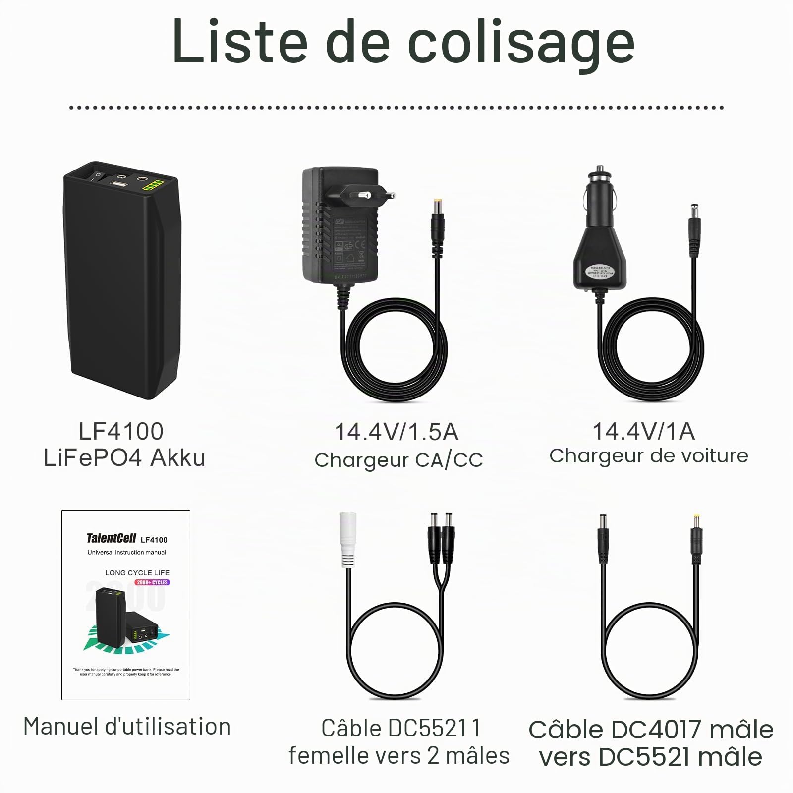 TalentCell Banque d'alimentation, Batterie LiFePO4, Batterie lithium-fer-phosphate 12/9/5V, rechargeable, 12,8V 6000mAh 76,8 Wh, avec chargeur, pour bandes LED, caméras de vidéosurveillance, etc. Noir