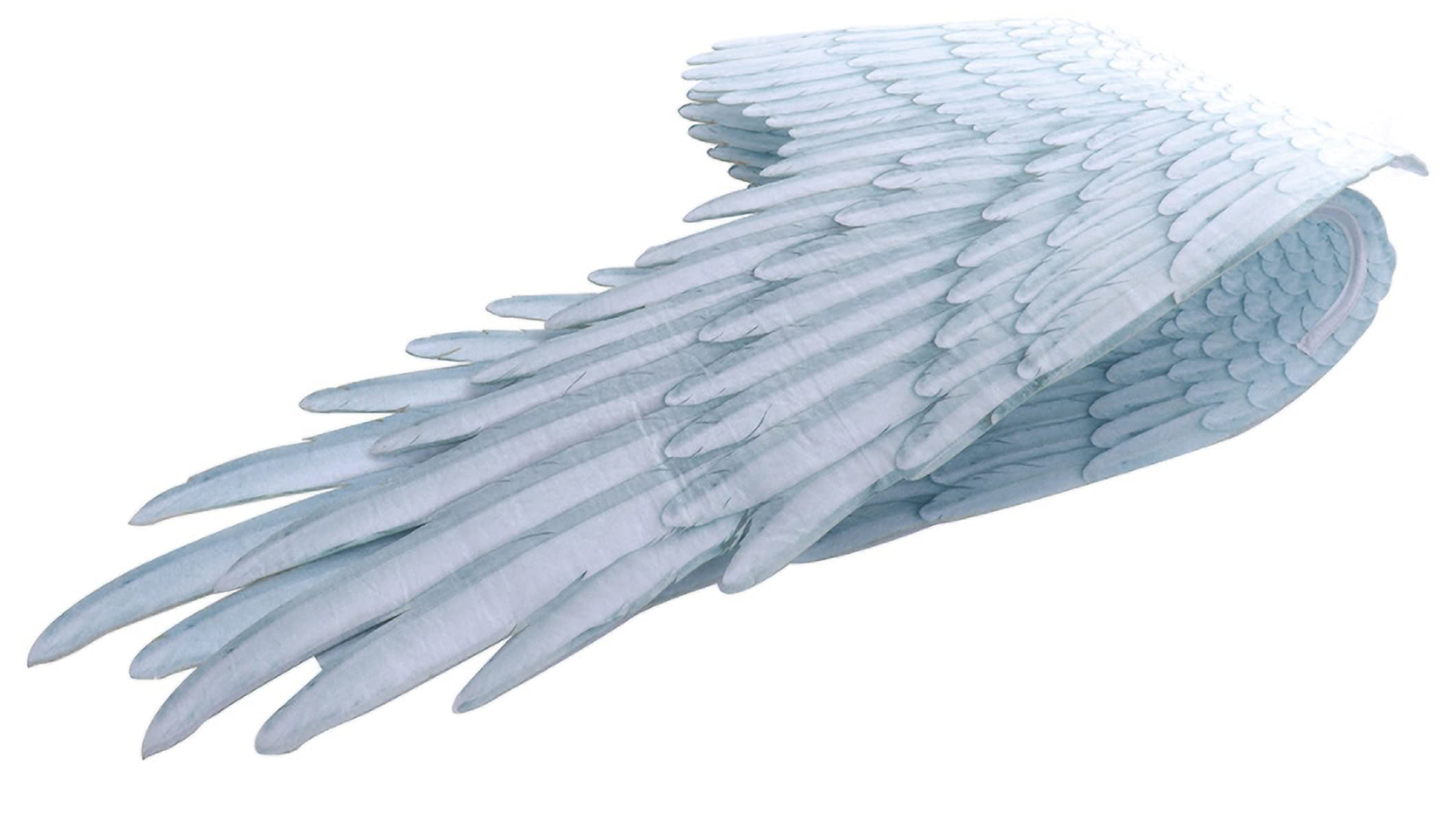 デビルの羽根 Amazon.co.jp: FUIDOO 悪魔 翼 コスプレ 妖精 デビル 羽根