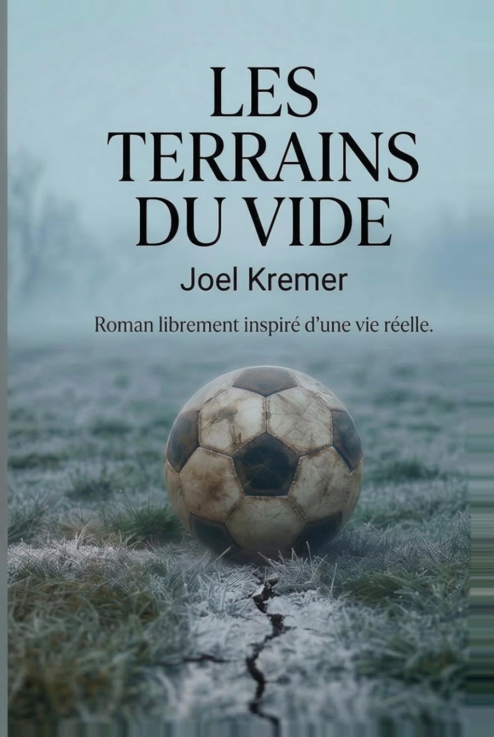 Les Terrains du vide