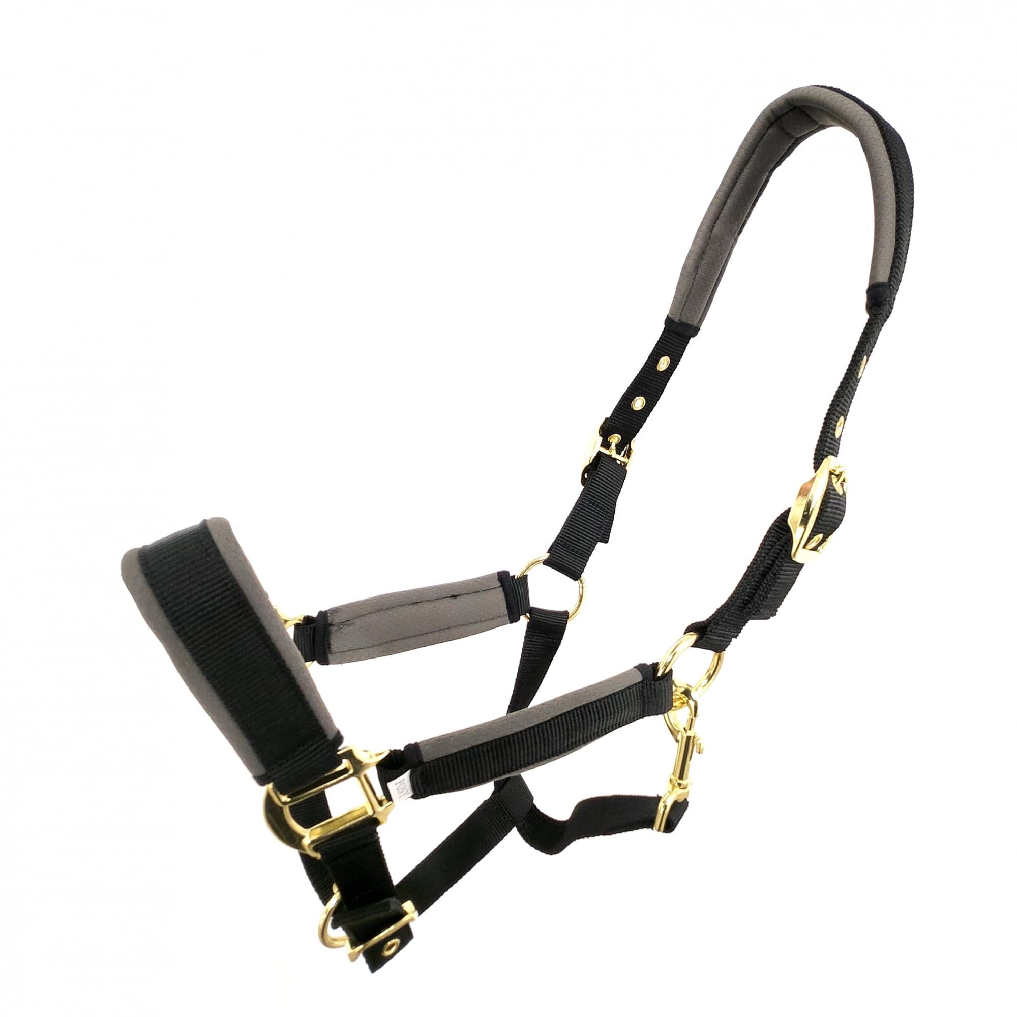 Coco Equestrian Black Adjustable Padded Halter Headcollar - Cob