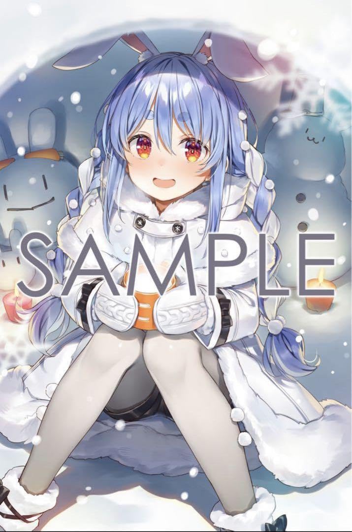 【新品未開封】兎田ぺこら　タペストリー c103 憂姫はぐれ Amazon.co.jp: 【新品未開封】 兎田ぺこら タペストリー c103 憂