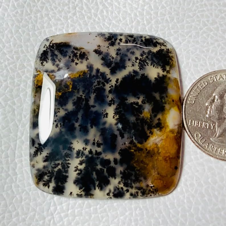 Agate dendritique cabochon de qualité gemme supérieure pour la haute bijouterie - 3