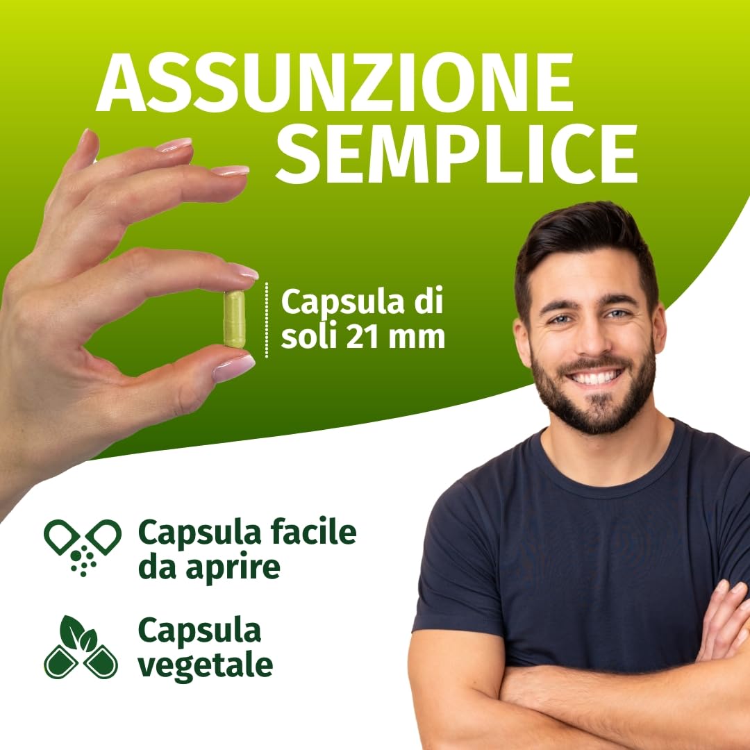Green Naturals® Quercetina ad alto dosaggio – 500 mg da estratto naturale di Sophora japonica – 100% vegana & senza additivi – 180 capsule (6 mesi)