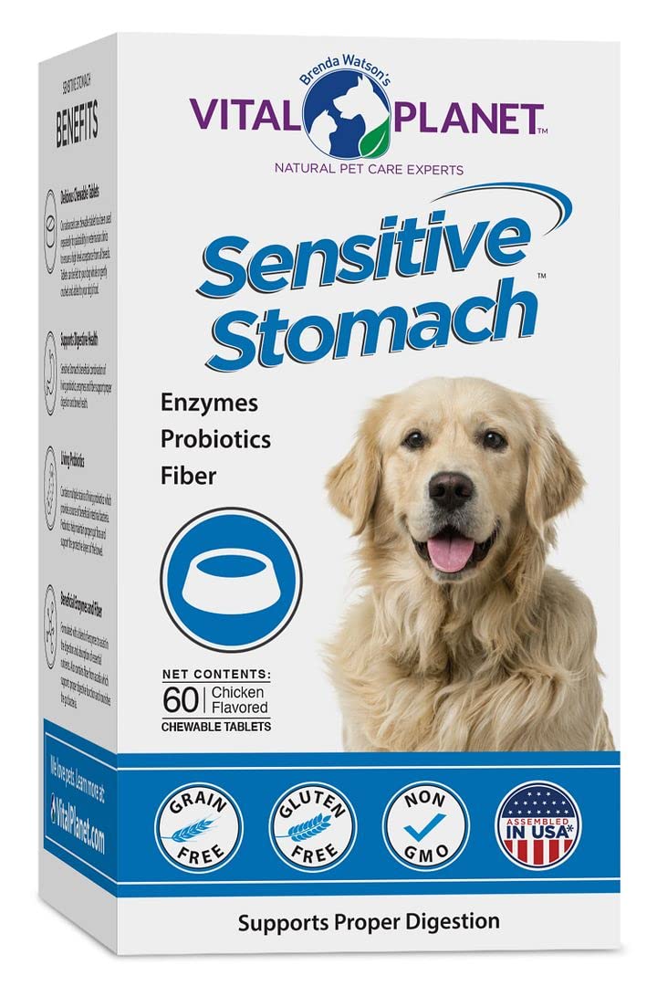 Where Is My Dogs Stomach Located