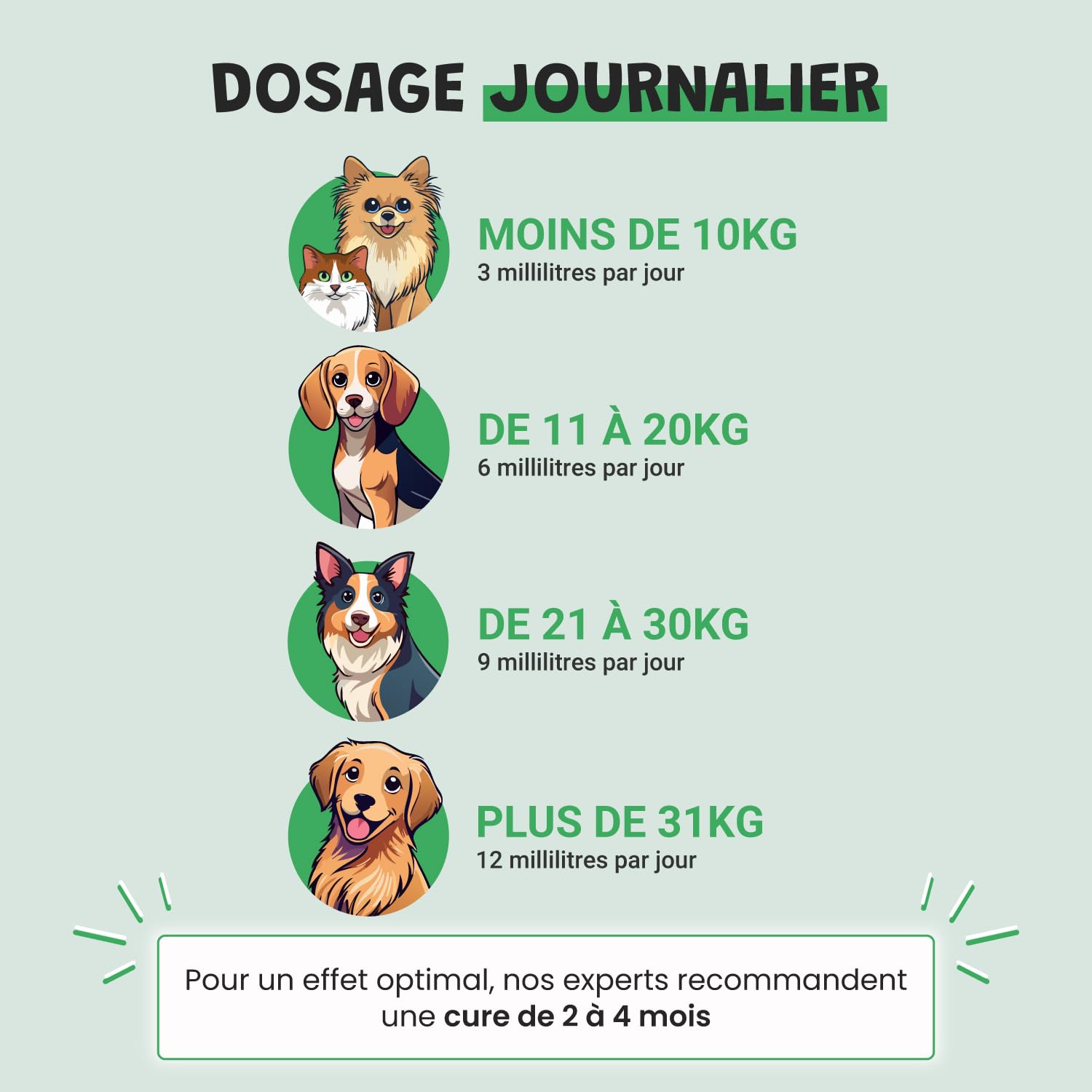 Museau & Co Urino Régule – Infection Urinaire Chien – 200ml – Cystite Chien & Chat, Anti-inflammatoire, Soutien Vessie & Reins, Confort Urinaire Fabriqué en France