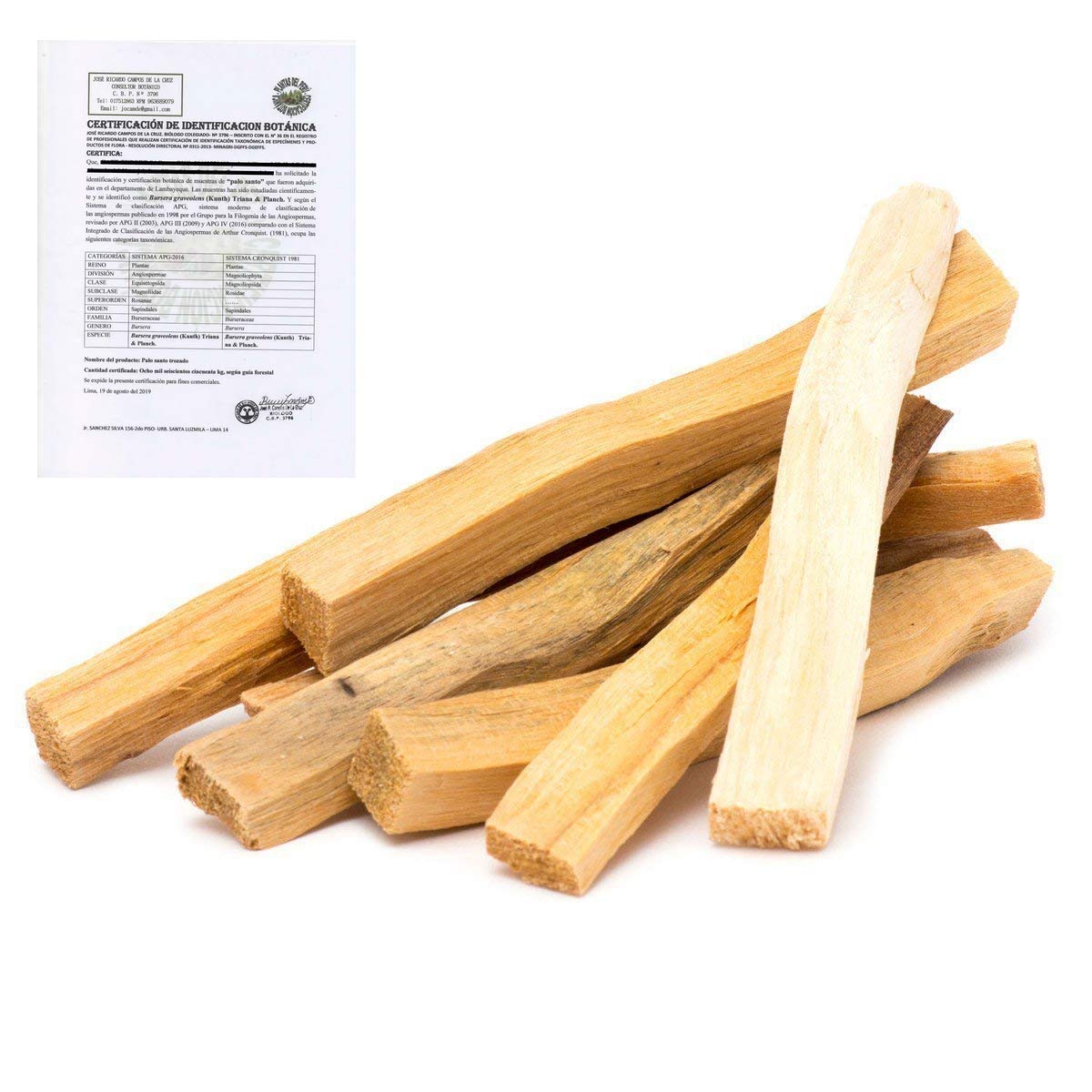 Palo Santo bâtonnets encens Fumigation Purification 100% Naturel Pérou 10x1cm 5 bâtonnets