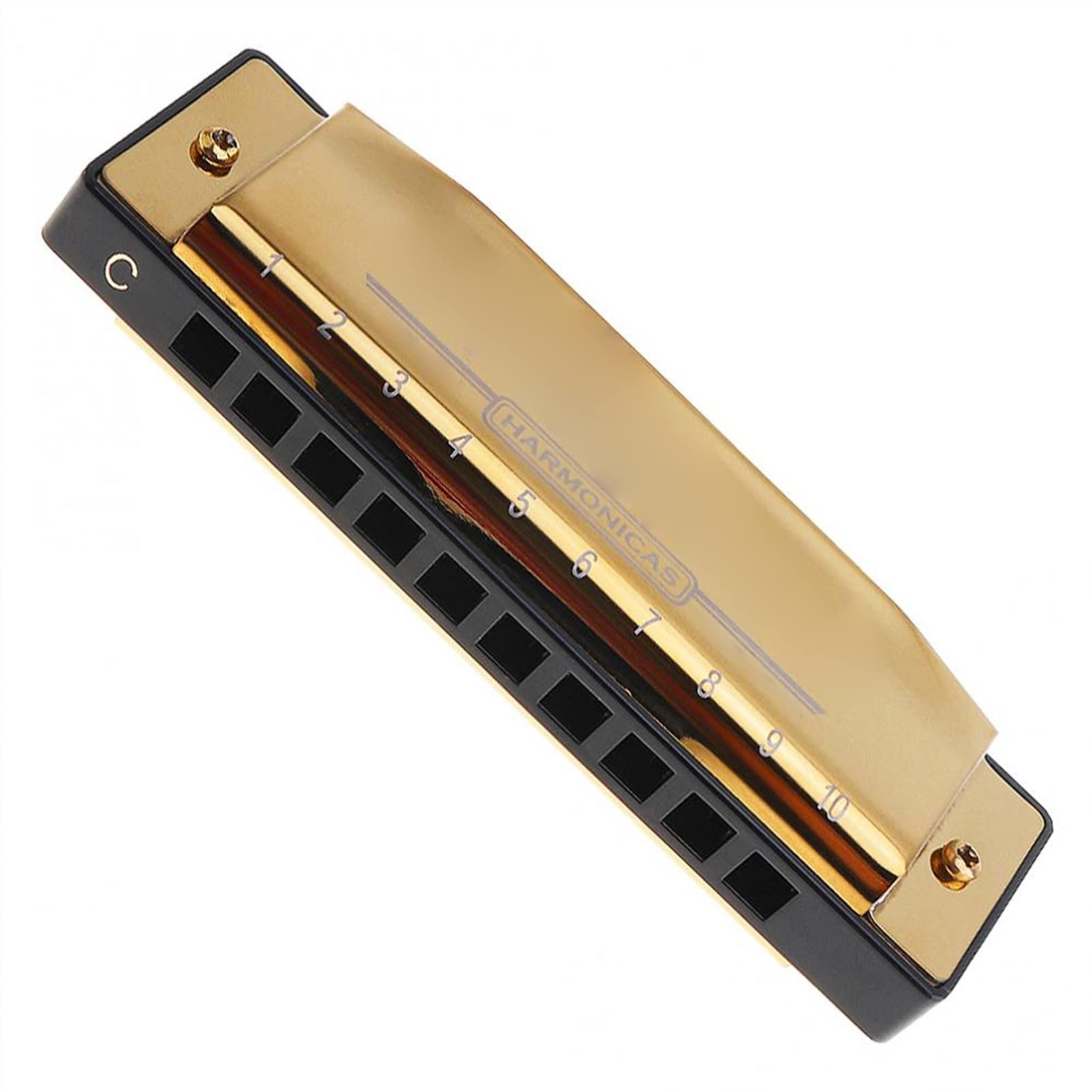 Armonica A Bocca Professionale Armonica A Bocca Armonica Diatonica in Oro A 10 Fori Chiave di Strumento Musicale Ad Ancia in Acciaio Inossidabile per Principianti