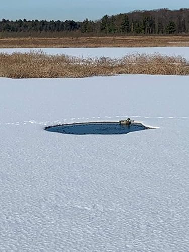 Miniatura 8 de Difusor prémium de alta eficiencia para aireación de estanques y lagos al aire libre fabricado en Estados Unidos por US Solar Mounts