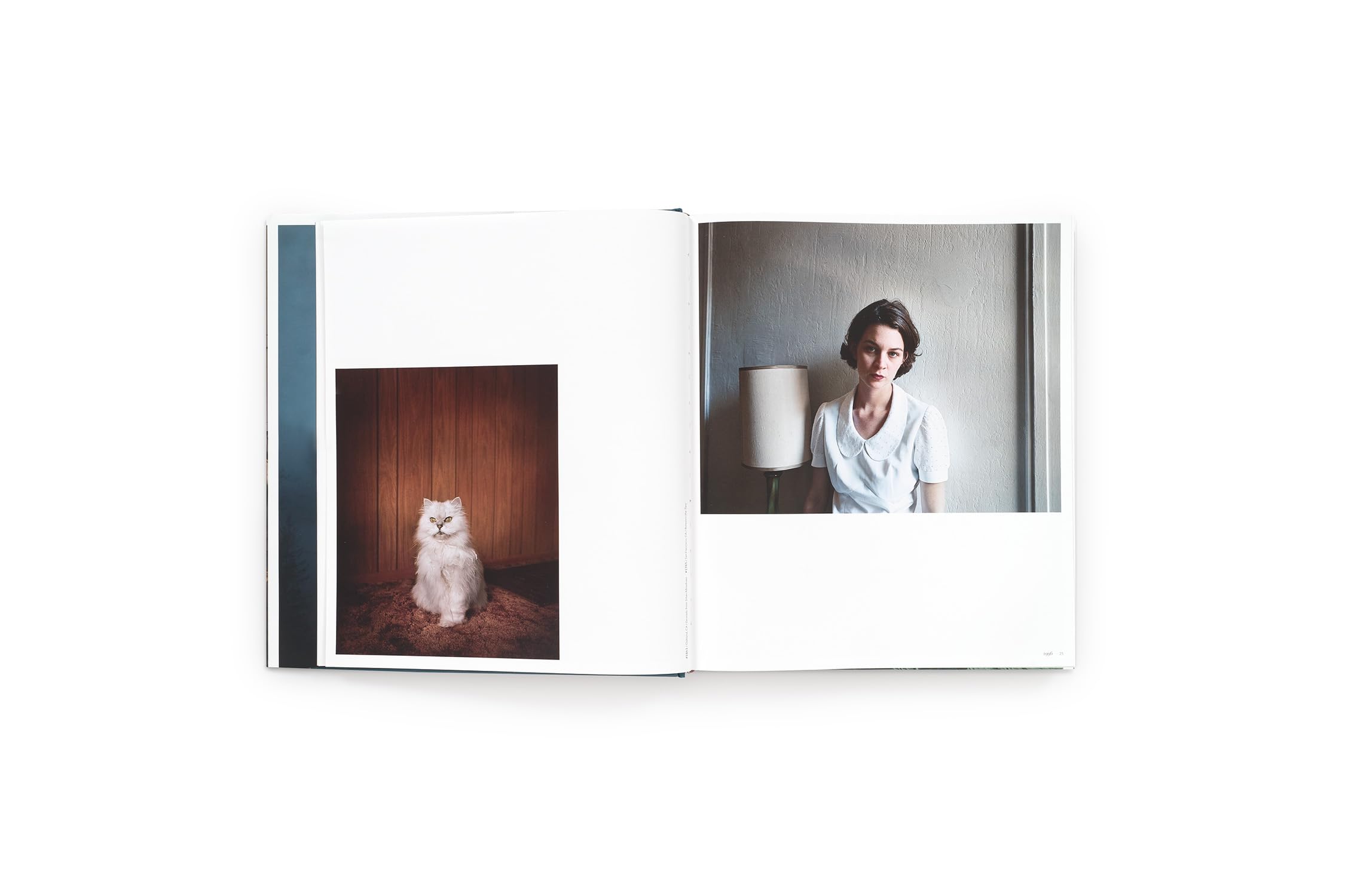 Todd Hido Intimate Distance (new edition) /anglais: Intimate Distance (Revised and Expanded Edition) : Over Thirty Years of Photographs, A Chronological Album
