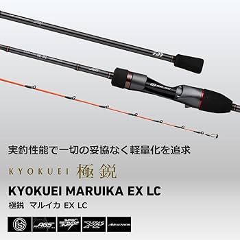 Daiwa 極鋭マルイカ　MC F ２本セット 61cpEBx0fwL._UF1000,1000_QL80_.jpg