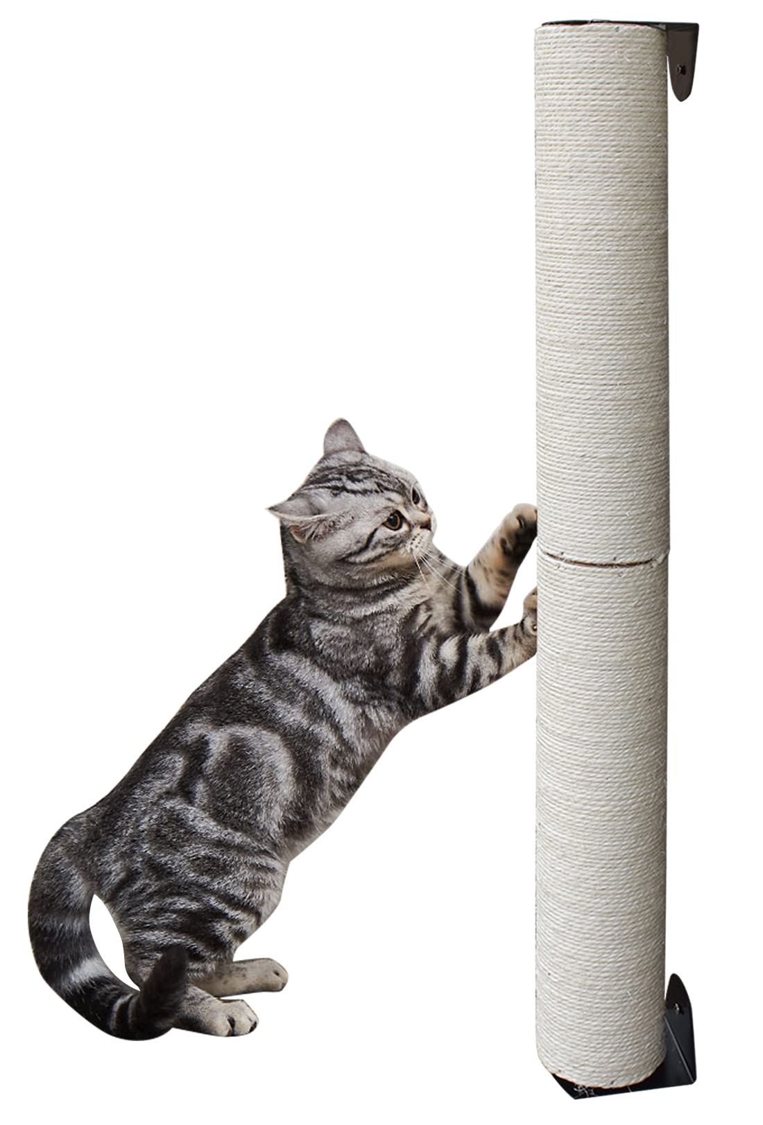 Buy Cat Wall Furniture Scratching Post, Wall ed Cat Scratcher Shelf