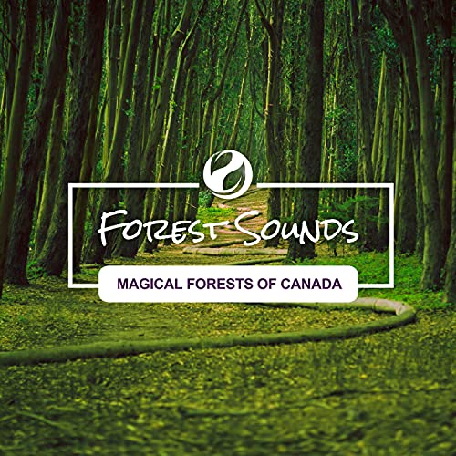 The Best Mic For Zoom For 2021 D and T Custom Gunworks