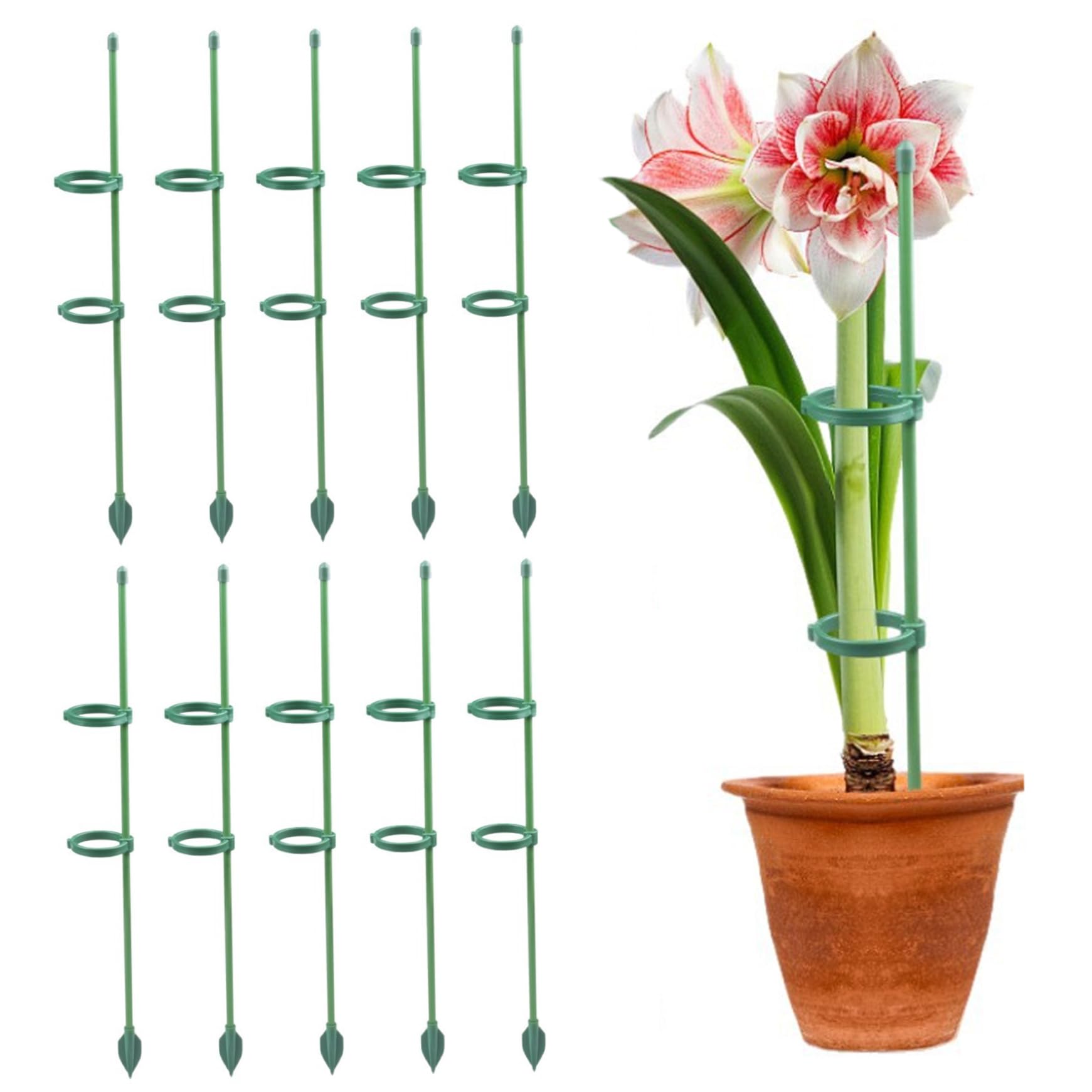 Monwssoe Decorative Garden Stakes, 10PCS Plant Sticks Support Tall 12 Inch Monstera Plant Support with 20PCS Clips Plants Stakes for Indoor Plants Monstera Tomato Orchid Rose Potted Flowers