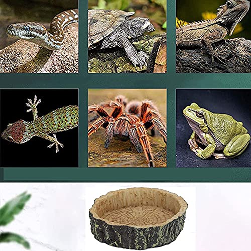 Reptielgerechten, 2 stuks voederbakjes reptielen, reptielen feeder, hagedissen-feeder, voedsel bowl rok, voederplaat… - Afbeelding 7