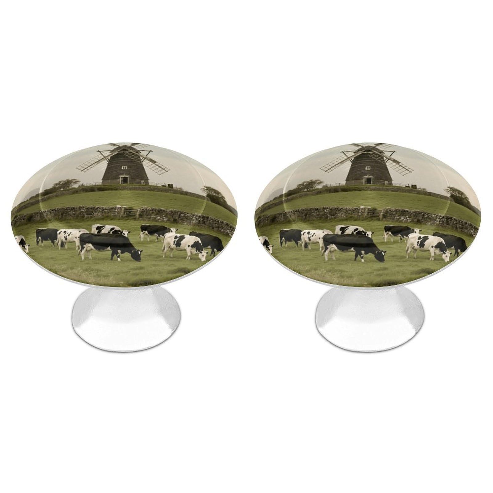 DWVTSLH Retro Cow Cabinet Handles 2 Pack Stainless Steel Kitchen Drawer Pulls with Installation Screws Round Dresser Drawer Knobs 1.1 Inch Modern Cabinet Hardware Door Handles