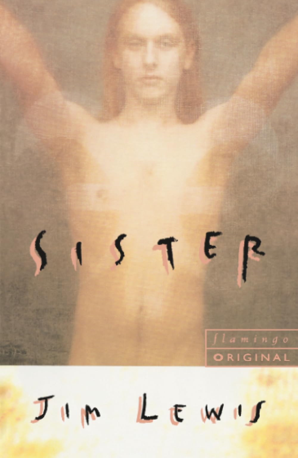 Sister, Fiction – Fiction: literary and general non-genre – Modern and contemporary fiction: literary and general, Paperback, Jim Lewis
